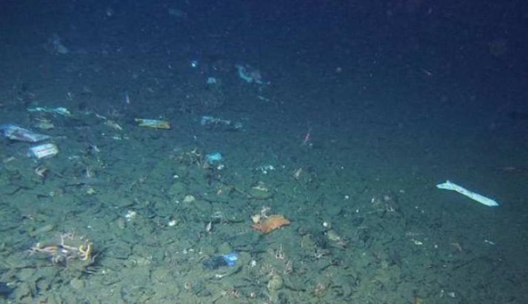 Plastic waste at the bottom of the Mariana Trench - Cacareco