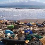 Plastic trash in the oceans harms oxygen-producing bacteria